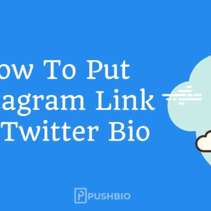 How To Put Instagram Link On Twitter Bio