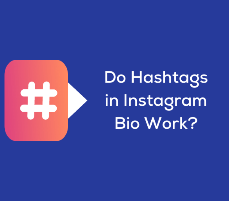 Do Hashtags in Instagram Bio Work?