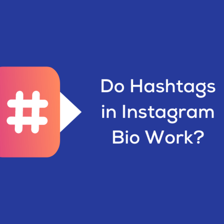 Do Hashtags in Instagram Bio Work?