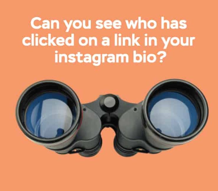 Can You See Who Has Clicked on a Link in Your Bio Instagram?