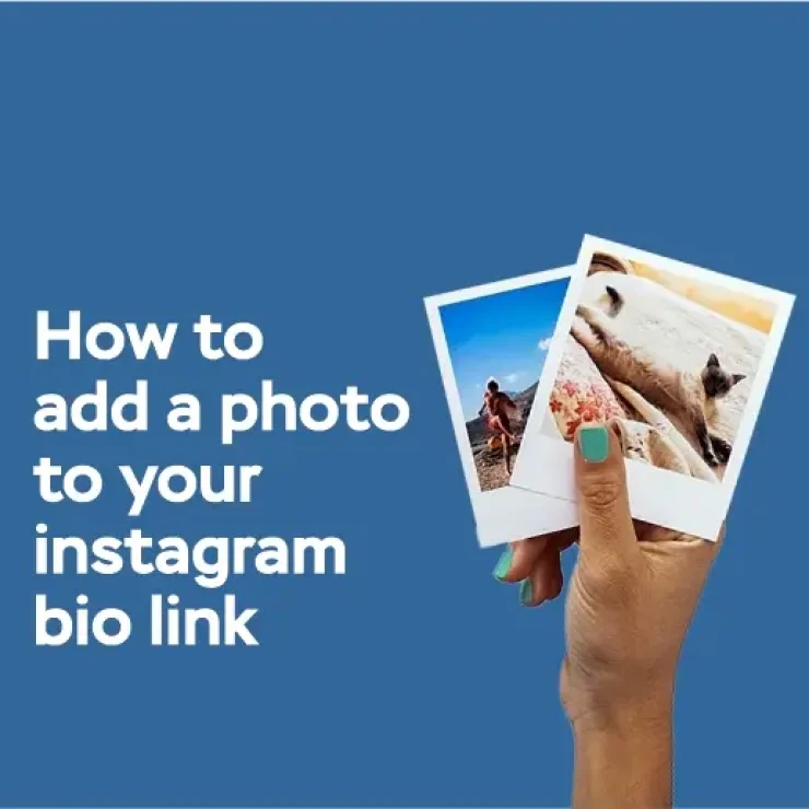 How to Add a Photo to Your Instagram Bio Link