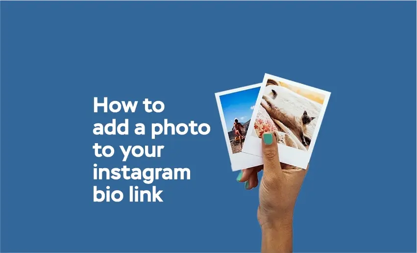 How To Add A Photo To Your Instagram Bio Link Pushbio