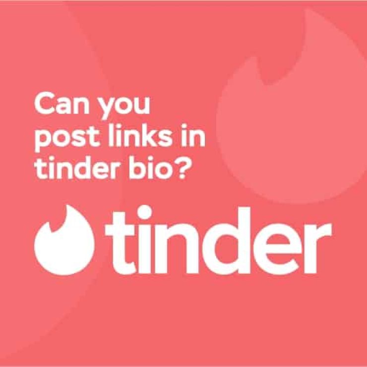 Can You Post Links in Tinder Bio?