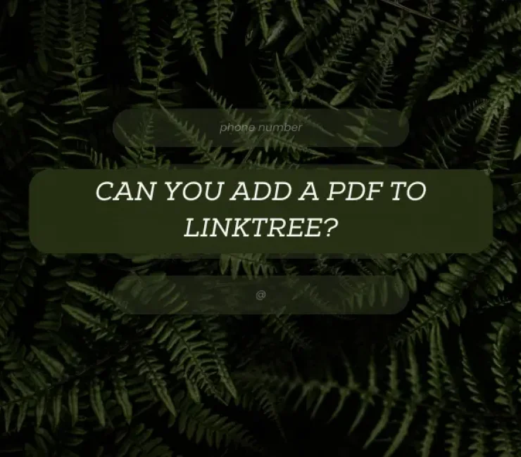 Can You Add a PDF to Linktree?