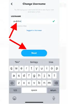 Input your desired new Username, then tap 'Next.'
