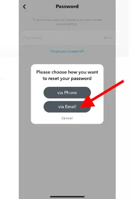Next, choose the option to reset your password via Email;