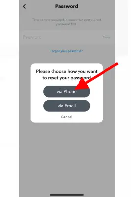 Next, choose the "via Phone" option to reset your Snapchat password using your phone number;